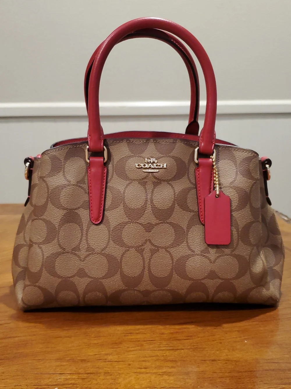 NEW Coach Mini Sage Signature Carryall